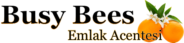 KKTC Emlak - Header with Logo